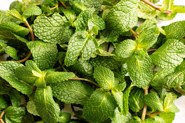 Peppermint leaves as a background