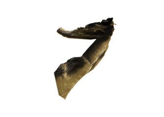 Somalia Map Golden Metallic Texture Map Gold Reserves And Gold Mining Concept 3D Illustration