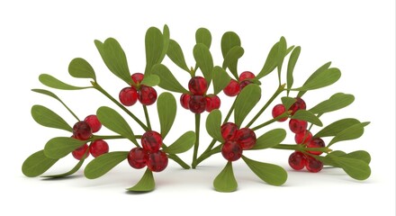 Festive Mistletoe Branch with Glossy Red Berries and Green Leaves