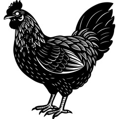 Chicken hen farm poultry animal black and white illustration isolated on white background © Deluwer