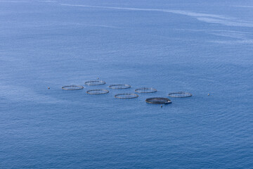 Naklejka premium Offshore mussel farm with circular floating cages spread across calm blue water, creating a minimal seascape where evenly spaced rings mark the active aquaculture area
