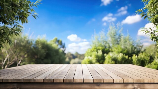 Wooden Platform on Lush Greenery Background with Space