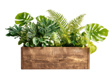 Lush green assorted plants overflowing a simple stained wooden rectangular box planter