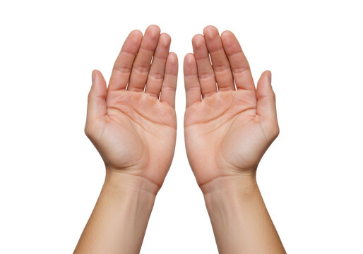 Isolated hands gesturing, praying, cupped or requesting, palm up for offering or assistance