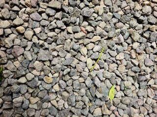 Gravel texture close up, natural stone surface with random shapes and rough detail