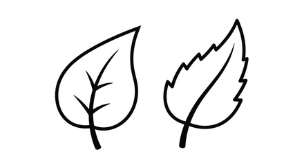 Simple black and white illustration featuring two distinct leaf shapes