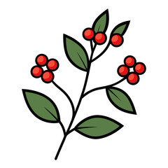 firethorn line art on white background