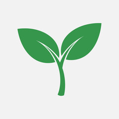 Fototapeta premium Green sprout with two leaves on a white background simple clean design.