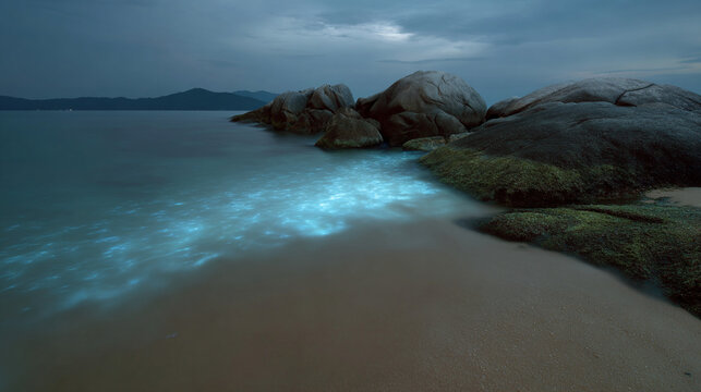 Glowing plankton on the shores.