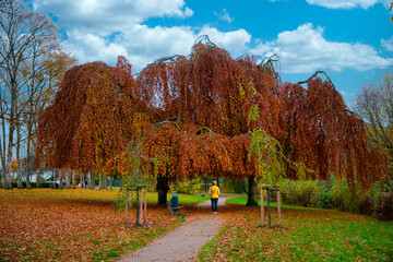 Herbstspaziergang, Stadtpark, Timmendorfer-Strand, Deutschland