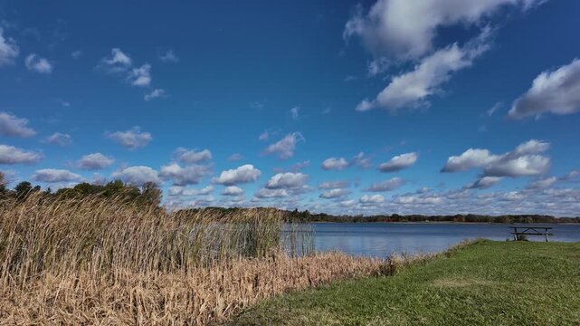 Time lapse at a Stony Creek Metropark picnic area in Shelby Township Michigan on a beautiful day showing clouds zooming by and tall grass moving inn the wind.