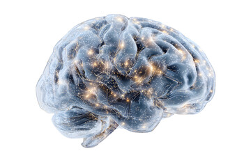 Digital brain isolated on transparent background, representing intelligence and network