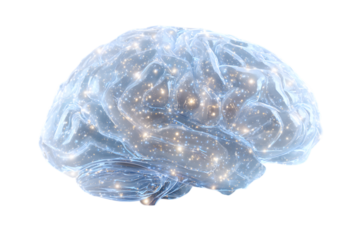 Human brain with neural network connections isolated on transparent background