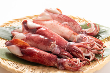 （釜揚げ）ボイル　ヤリイカ　生食用　