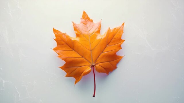 Close-up of an orange maple leaf positioned centrally on a smooth marble surface showcasing its vibrant autumn colors and intricate vein patterns under soft natural lighting.