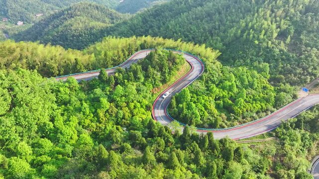 Winding mountain road through green bamboo forest