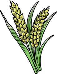 Wheat Ears with Green Leaves Illustration on White Background