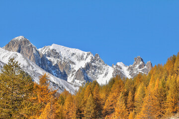 Montagne enneig&eacute;e et m&eacute;l&egrave;zes en automne 