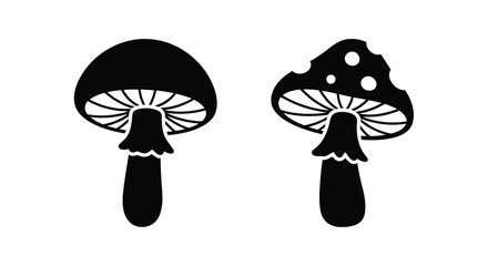 Simple black and white illustration of two different types of mushrooms