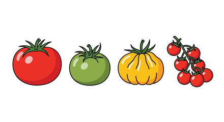 Illustration of various tomatoes in different stages of ripeness and color