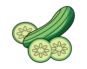 Vector illustration of fresh green cucumbers and zucchini vegetables isolated on white background