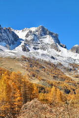 M&eacute;l&egrave;zes en automne et montagne enneig&eacute;e