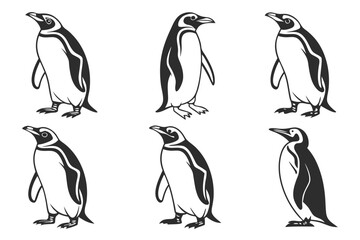 Obraz premium Minimalist king penguin icon set in black and yellow