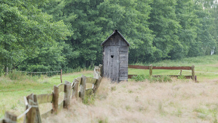 An old wooden latrine in a meadow in the countryside, surrounded by forest. Rural landscape.