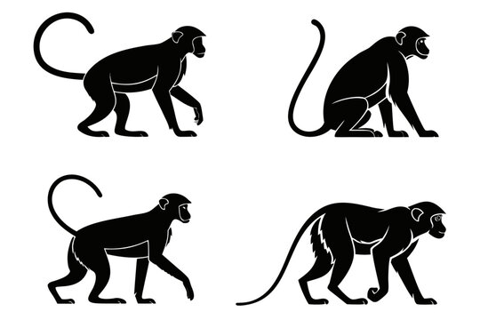 Minimalist macaque monkey icon set in four colors
