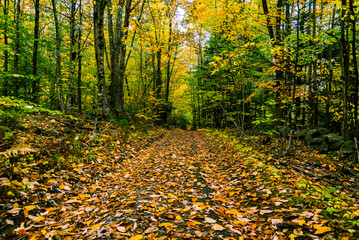 View of the landscape in Cape Porpoise, Maine USA