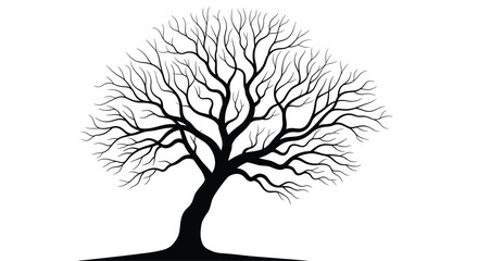 Obraz premium Stark black silhouette of a large, deciduous tree with a thick trunk and an intricate network of bare, leafless branches against a white background.