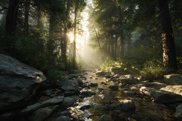 Sunlit Forest Stream - Serene Landscape with Lush Greenery and Mystical Light.
