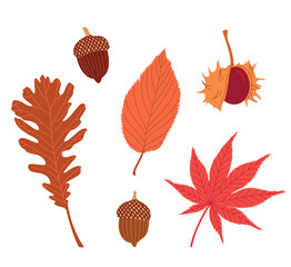 Vector autumn set of illustrations with leaves, acorns and chestnut
