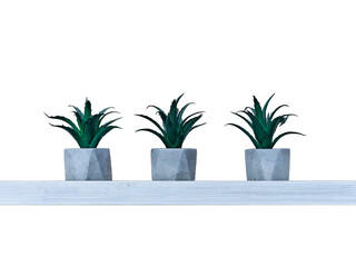 Modern indoor plants arranged neatly on a shelf in a bright, minimalist room setting showcasing greenery in pots