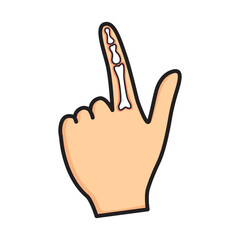 Fingertip bones Image Vector.