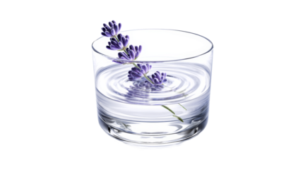 Lavender sprig floating in clear water in glass with ripples