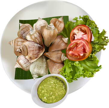 Boiled Dog Conch, Wing Shell, seafood of South Thailand