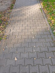 brick walkway in autumn park with fallen leaves on the ground