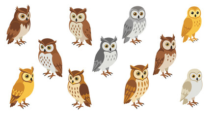 Fototapeta premium Whimsical owl collection in cartoon style featuring diverse species and colors