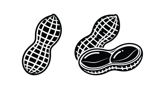 A simple black and white illustration of peanuts in different stages