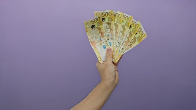 Caucasian man's hand holding several 500 peso philippine banknotes against a purple isolated wall background emphasizing currency and wealth.