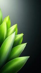 Obraz premium Vibrant green leaves are positioned against a dark background, showcasing their intricate details and textures, This image is ideal for nature-themed projects, advertisements, and wellness concepts,