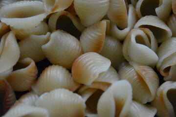 Food, cooking in a home kitchen. Boiled vermicelli, shaped like brown, black, yellow shells lies in an old, thick frying pan.