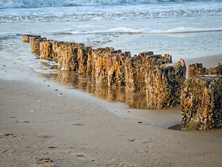 Weathered wooden posts line the sandy beach at low tide, surrounded by gentle waves and sea foam