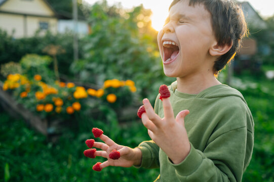 Laughing child playing with raspberries on fingers in summer garden