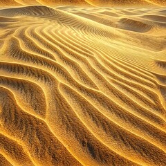 Golden Desert Sand Dunes With Sunlit Curves and Natural Wind Texture in Scenic Landscape