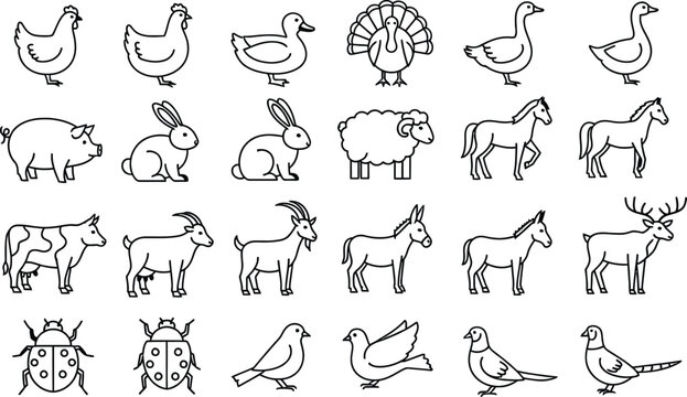 Collection of hand drawn farm animals and insects vector illustration