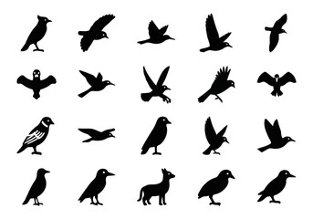 Fototapeta premium Collection of black bird silhouettes in various poses, including flying and perching. Minimalist vector icon set for graphic design
