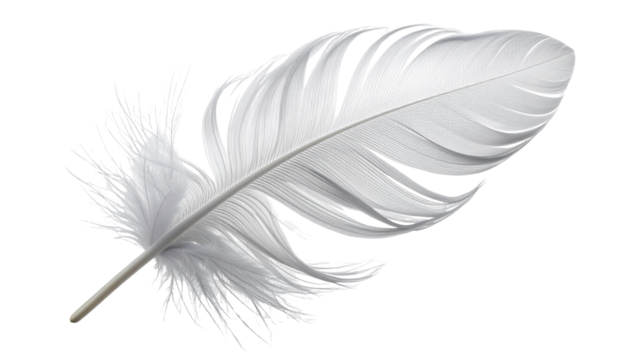 Lightweight White Feather with Subtle Texture Transparent PNG