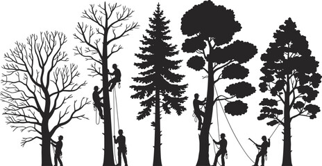 Silhouette of arborists climbing and trimming different trees, professional tree workers using ropes and gear, black and white vector illustration